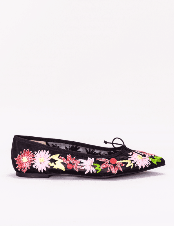 Pretty ballerinas