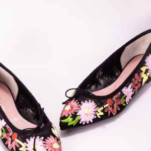 Pretty ballerinas